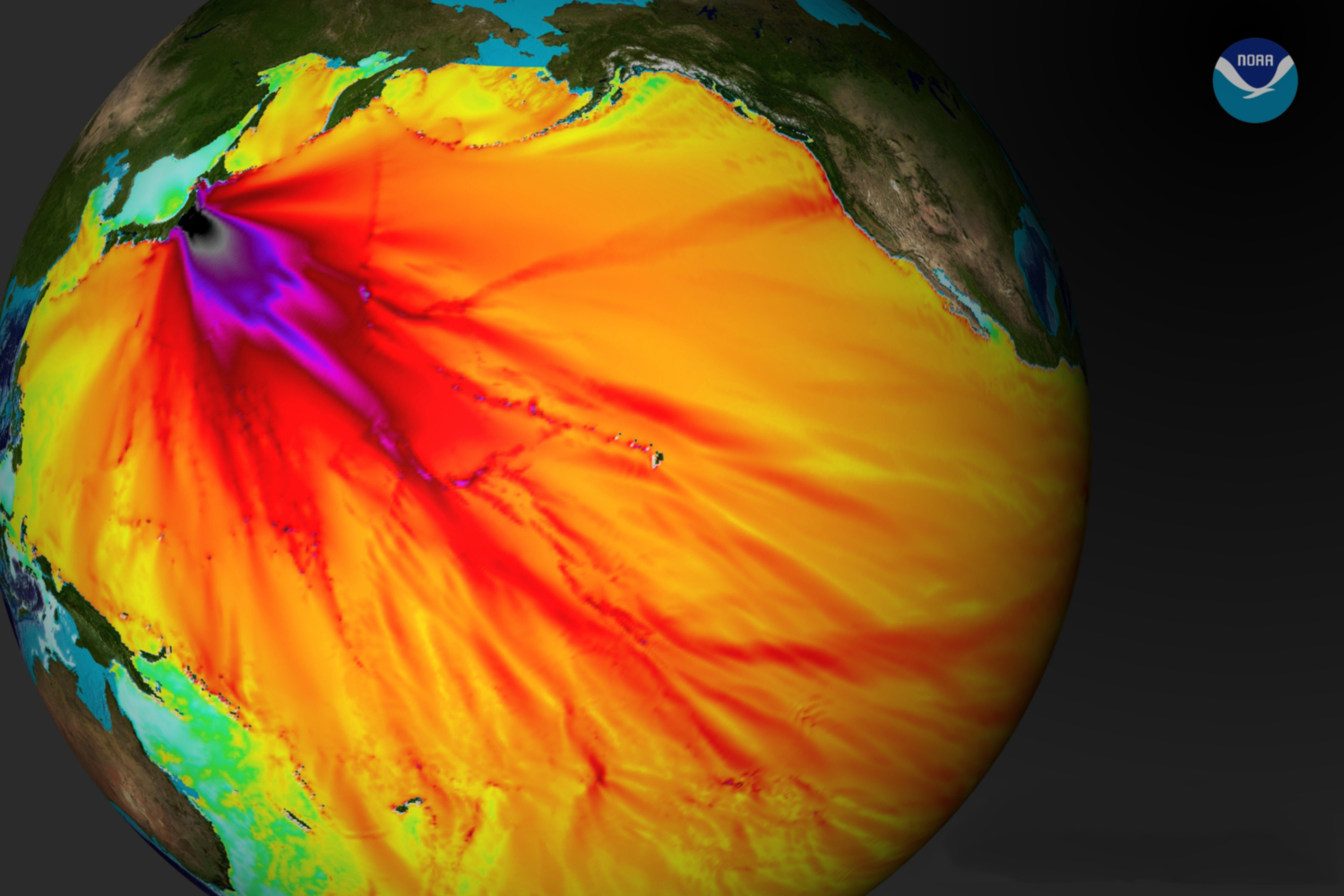 แบบจำลองความสูงของคลื่นสึนามิจากแผ่นดินไหวญี่ปุ่น 2554 โดย NOAA