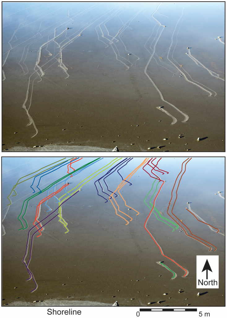 ภาพแสดงทิศทางการเคลื่อนที่ของก้อนหินทีขนานกัน Image  credit doi:10.1371/journal.pone.0105948.g002