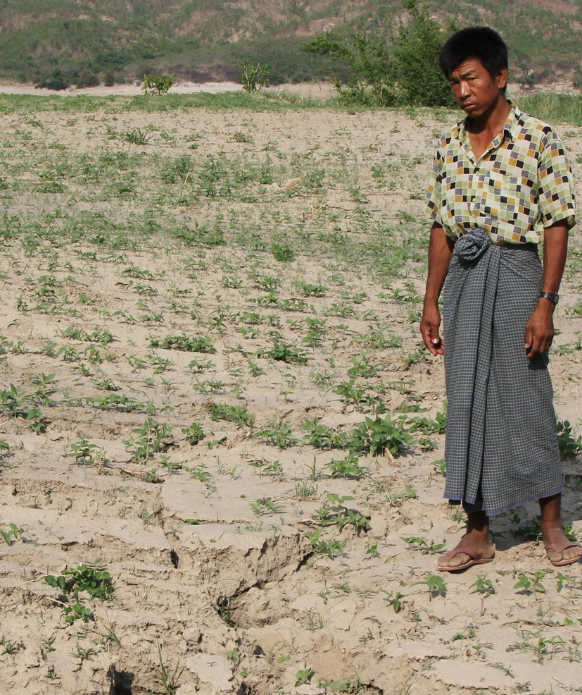 “Large fractures formed in my field at Ywe Tharyar during the earthquake. Two weeks’ ago I ploughed and planted it, but recent heavy rain and aftershocks have caused renewed subsidence and the reappearance of fractures.”