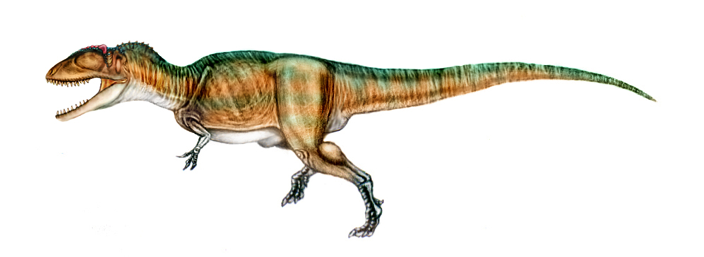รูปภาพจาก http://unlobogris.deviantart.com/art/Carcharodontosaurus-23172842