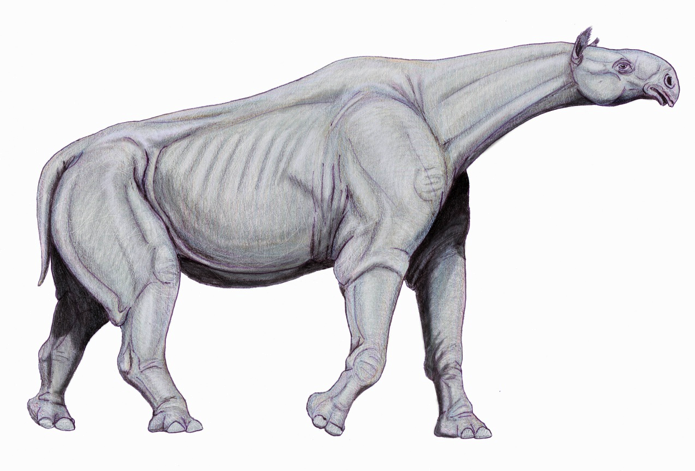 รูปภาพจาก http://en.wikipedia.org/wiki/Paraceratherium