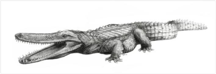 http://www.rtkorr.com/imgs-news/rss/2009-11/19/11/Laganosuchus-thaumastos-2.jpg